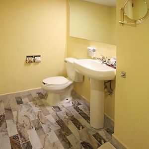 Se Permiten Perros Habitación