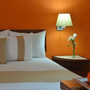 Habitación Superior con Cama King